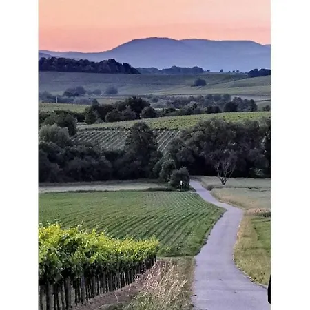 Prázdninový dům 